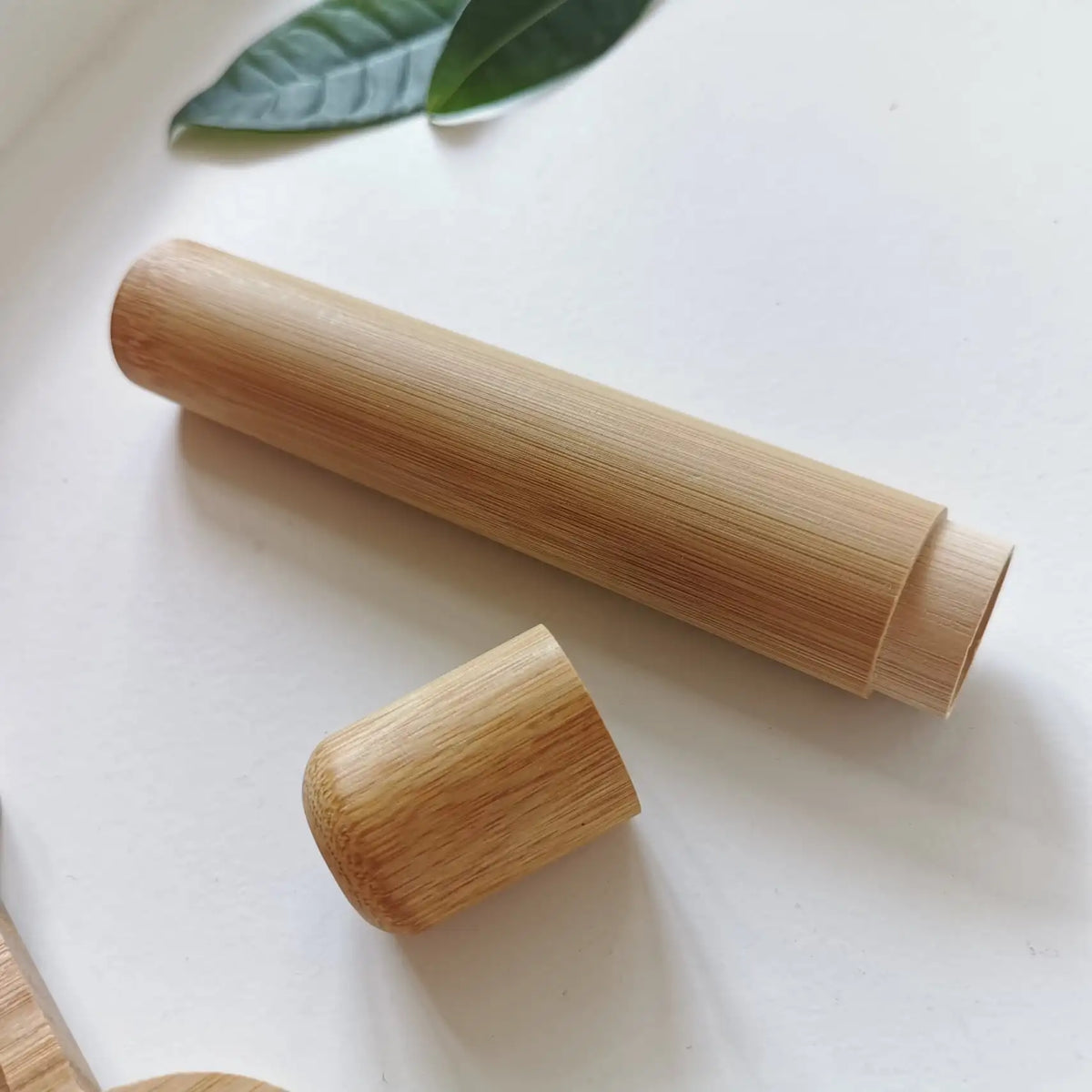 Travel Bamboo Toothbrush